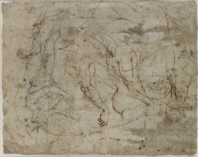 Two Studies of Arms, a Profile Looking Upwards and a Standing Figure by Raffaello Sanzio Raphael